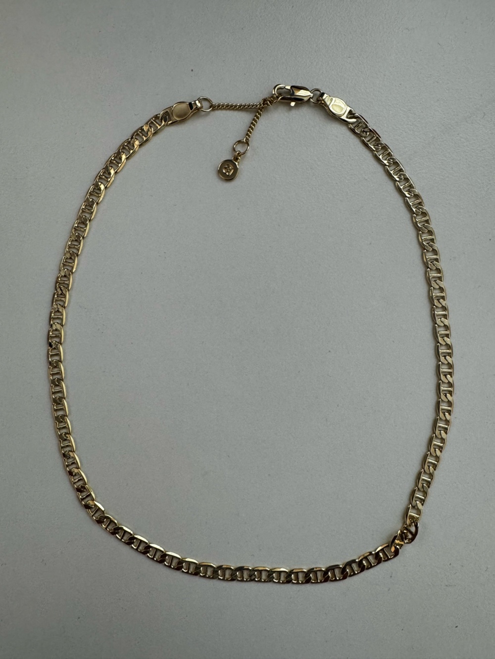 Delicate Gold Chain Necklace with Adjustable Clasp